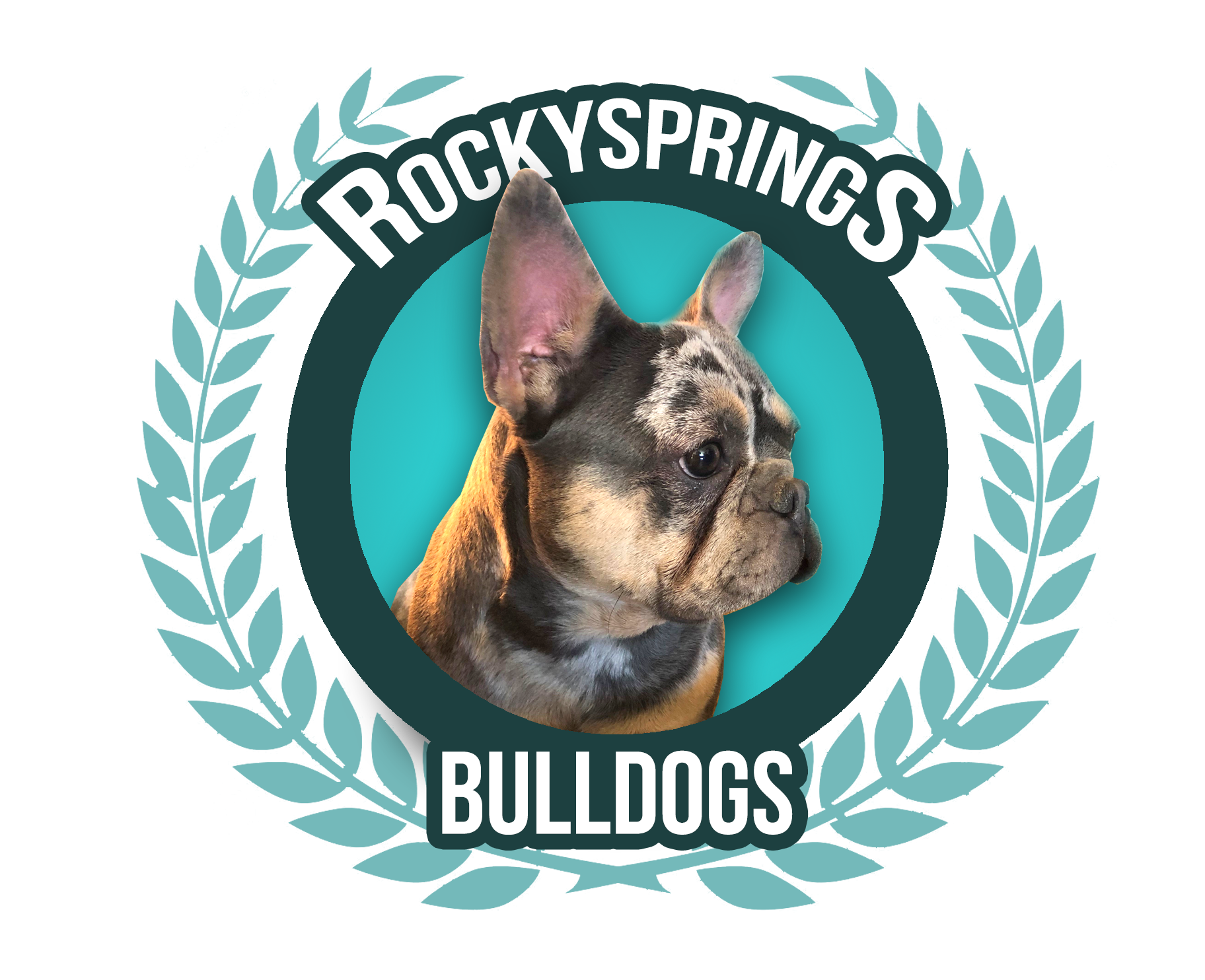 Rocky Springs Bulldogs